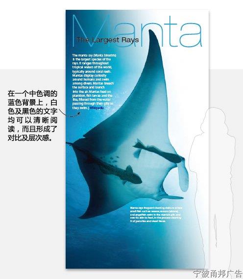 如何设计大型展示牌